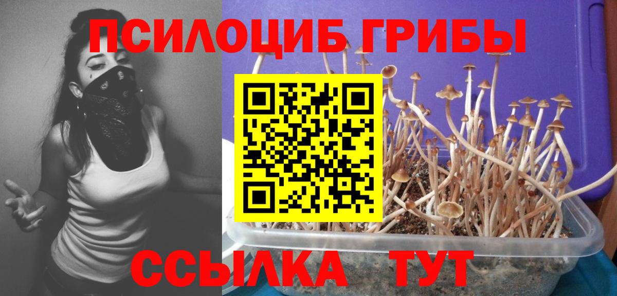 Псилоцибиновые грибы мицелий Учалы