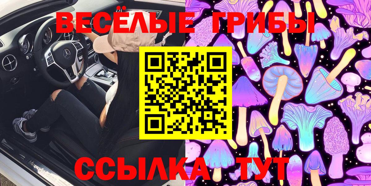 Псилоцибиновые грибы Psilocybine cubensis  Вход с VPN  Учалы 